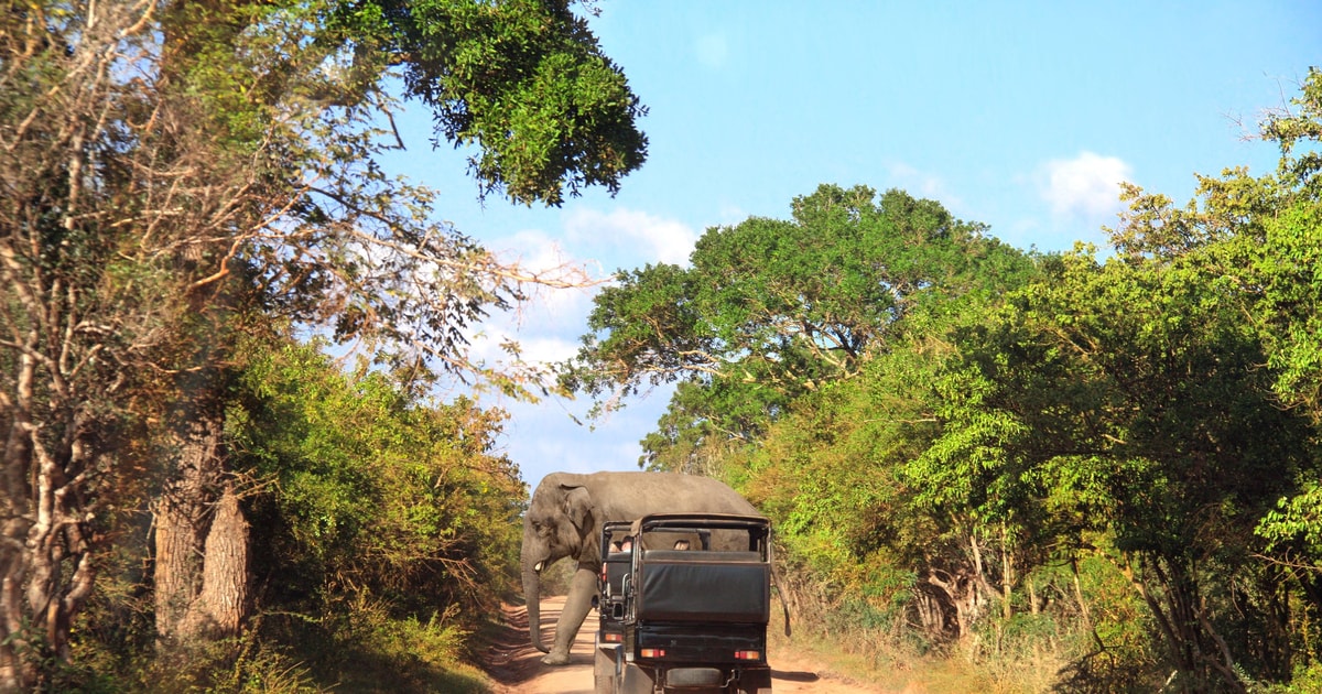 Yala National Park